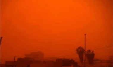 بشائر الربيع… الأرصاد تحذر: رياح الخماسين والذباب الصحراوي يهددان مصر