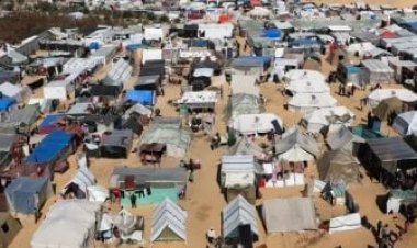 «برلمانية» تحمل المجتمع الدولي خطورة التصعيد الإسرائيلي على رفح الفلسطينية  