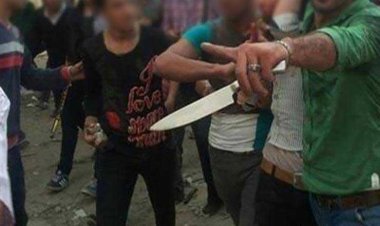 مشاجرة بالأسلحة البيضاء تنتهي بعقر كلب لعروس وزوجها بالمرج