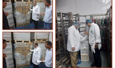 ضبط ٥ طن أسماك مملحة ولحوم مجمدة ودواجن غير صالحة للاستهلاك الآدمي بالشرقية