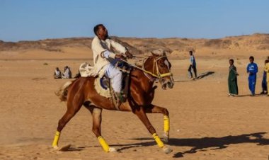 انطلاق فعاليات مهرجان الفروسية في أسوان