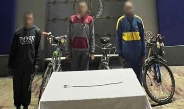 ضبط 3 أشخاص التحرش والاعتداء على فتاة بالغربية باستخدام “عصا بلاستيكية ”