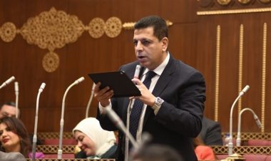 النائب محمود سامي يكشف عن أسباب عدم حرصه على زراعة القطن «طويل التيلة»