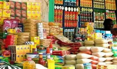 الإحصاء يعلن تراجع معدل التضخم في مارس إلى 33.1 %