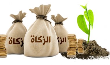 أول تعليق من «الإفتاء» بعد إقرار السعودية بعدم جواز إخراج زكاة الفطر نقودًا