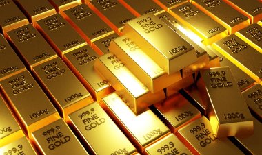 خبير اقتصادي: صناديق الاستثمار في الذهب تشهد إقبالا كبيرا من المواطنين