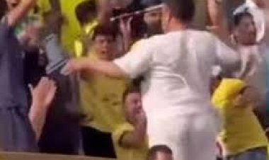 الحبس 6 أشهر لمشجع فريق مالية كفر الزيات  بعد إدانته بارتكاب فعل فاضح