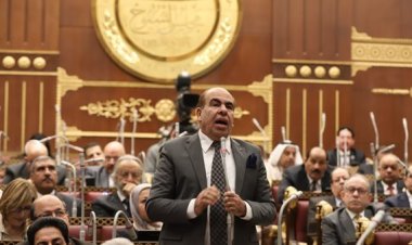 النائب ياسر الهضيبي: المساحة المنزرعة بالقطن تراجعت إلى 132 ألف فدان عام 2016