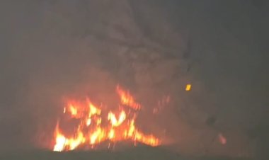 السيطرة على حريق مخلفات وأشجار بطريق الواحات الصحراوى