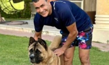 بلاغ رسمي ضد عصام الحضري وزوجته بعد إصابة مهندسة بعقر كلب في العلمين