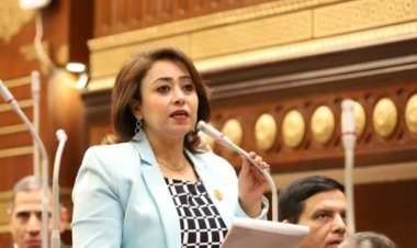 الحوار الوطني| النائبة رشا إسحق: الرئيس السيسي يثق في العقول المصرية لحل المشكلات