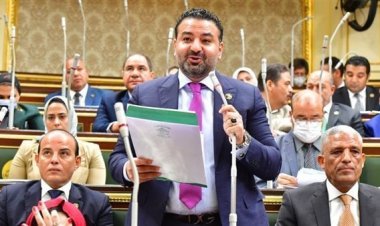 النائب محمد سلطان: تنفيذ توصيات الحوار الوطني خطوة هامة لتعزيز الهوية الوطنية