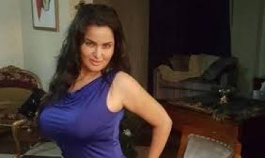 27 أكتوبر.. الحكم في دعوى تطالب بالإفراج عن سما المصري