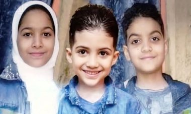 إحالة أوراق قاتل "أطفال اللبيني" بفيصل للمفتي للمرة الثانية