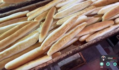 توقعات بخفض سعر رغيف الخبز السياحي..  اللجنة العليا للتسعير تجتمع خلال أسبوع