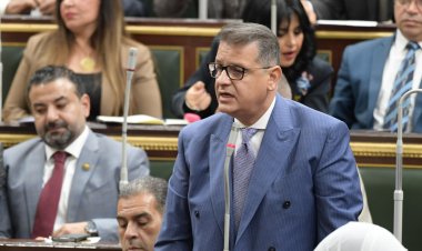 حقوق إنسان النواب تشيد بجهود الرئيس السيسي الخارجية لتحقيق الاستقرار في المنطقة