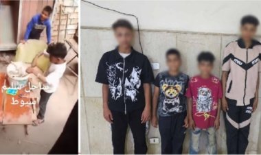 ضبط 4 أطفال أغرقوا كلبا صغيرا في دلو مياه وصوروا الواقعة لجلب المشاهدات