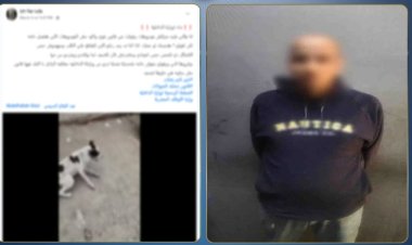 القبض على المتهم ب"الاعتداء على كلب" بالبساتين