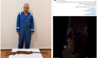 أمن الإسماعيلية يضبط المتهم بالتعدي على كلاب ضالة