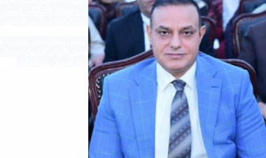 قيادي بـ«حُماة الوطن»: التقارب المصري التركي ينعكس بالإيجاب على ملفات الشرق الأوسط