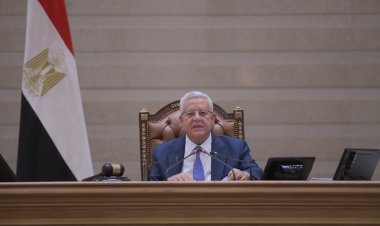 مجلس النواب يوافق على تشكيل المجلس القومي للطفولة والأمومة