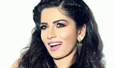 «هزقني وقل أدبه عليا».. أميرة هاني ضحية شركة توصيل خاصة
