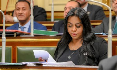 عضو الشئون الإفريقية بالنواب: مصر بقيادة الرئيس السيسي قادرة على تحقيق الإنجازات