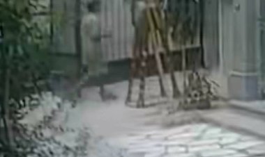 كشف لغز  سرقة مجسم الحمار للفنان السيد عبده سليم من جاليري ضي الزمالك