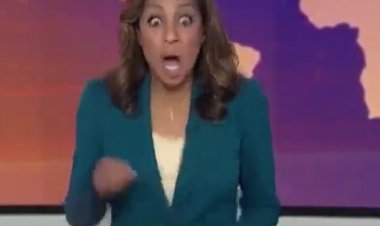 فأر  كبير يهاجم مذيعة قناة الجزيرة على الهواء مباشرة