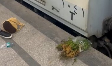 التحريات فى واقعة فتاة محطة جمال عبدالناصر "مريضة نفسيا"