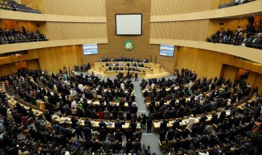 لمدة عامين.. انتخاب مصر لعضوية مجلس السلم والأمن الإفريقي