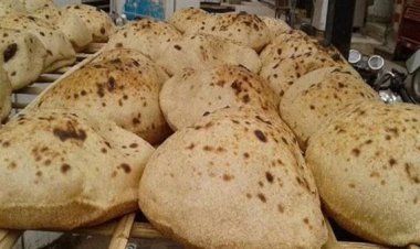 سعر الرغيف وصل إلى 3 جنيه.. تحرك برلماني بشأن ارتفاع أسعار الخبز السياحي