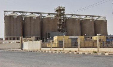 محافظ أسيوط يعلن ارتفاع نسبة توريد القمح الى 12 الف طن بالشون والصوامع حتى اليوم