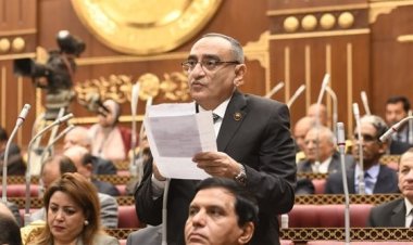 عضو «دفاع الشيوخ»: الرئيس السيسي حريص على  تحقيق الاستقرار وبناء الجمهورية الجديدة
