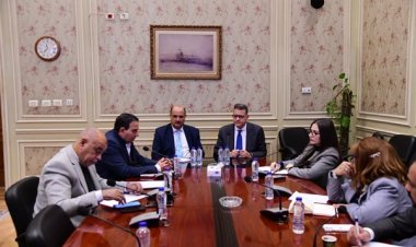 حقوق الإنسان بمجلس النواب تجري مناقشات لتوثيق انتهاكات الاحتلال الإسرائيلي