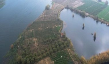 ضبط 1.2 طن مخدرات ومصرع 3 عناصر إجرامية وسقوط 22 آخرين في مواجهات مع الشرطة (صور)