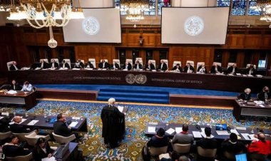 محلل سياسي فلسطيني يوضح أهمية المرافعة المصرية بالعدل الدولية