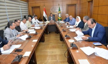 مختار: استعراض ومناقشة طرح حق استغلال الشوارع بالمراكز والمدن والاحياء لطرحها بالمزايدة العلنية العامة لاقامة اعلانات بها..