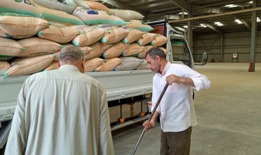 مواقع استلام القمح تفتح أبوابها أمام المزارعين خلال إجازة شم النسيم