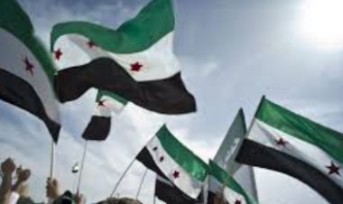 محلل سياسي: الوضع حُسم بتقسيم سوريا بين تركيا ودولة الاحتلال والأكراد