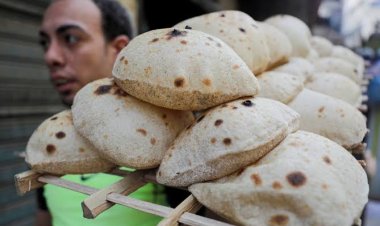 التموين تعلن أسعار الفينو والخبز السياحي الرسمية 