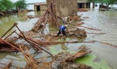 مقتل 10 أشخاص في حوادث ناجمة عن الأمطار والعواصف الثلجية في باكستان