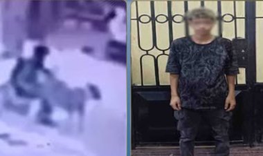 ضبط عاطل تعدى على كلب ضال بالمنوفية ووثق الواقعة فيديو