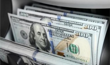 أسعار الدولار في البنوك اليوم السبت 11 مايو 2024