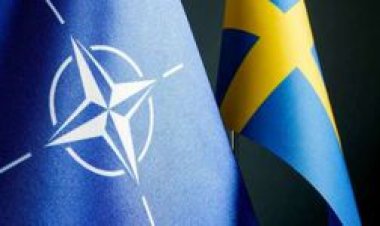 رسميا.. السويد تنضم إلى حلف شمال الأطلسي «الناتو»