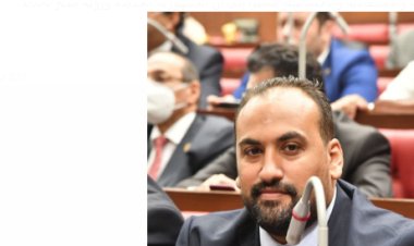 «الرشيدي»: يجب تنفيذ رؤية الرئيس السيسي في ملفات الأمن القومي والسياسة الخارجية والإصلاح الاقتصادي