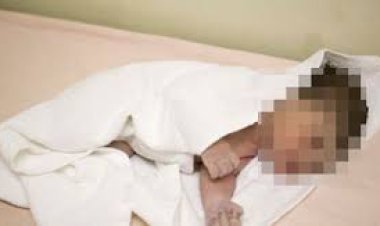 علاقة غير شرعية كلمة السر.. القبض على شاب وفتاة ألقيا طفل بعد ولادته بالشارع في الغربية