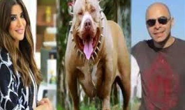 النقض تؤيد حبس زوج المذيعة أميرة شنب في «واقعة الكلب»