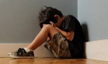 ضبط سيدة لاتهامها بتصوير مقطع فيديو تهتك فيه عرض ابن جارتها بالجيزة