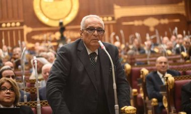 «أبو شقة» يُطالب الحكومة بإجابات واضحة بشأن مشروع التأمين الصحي الشامل